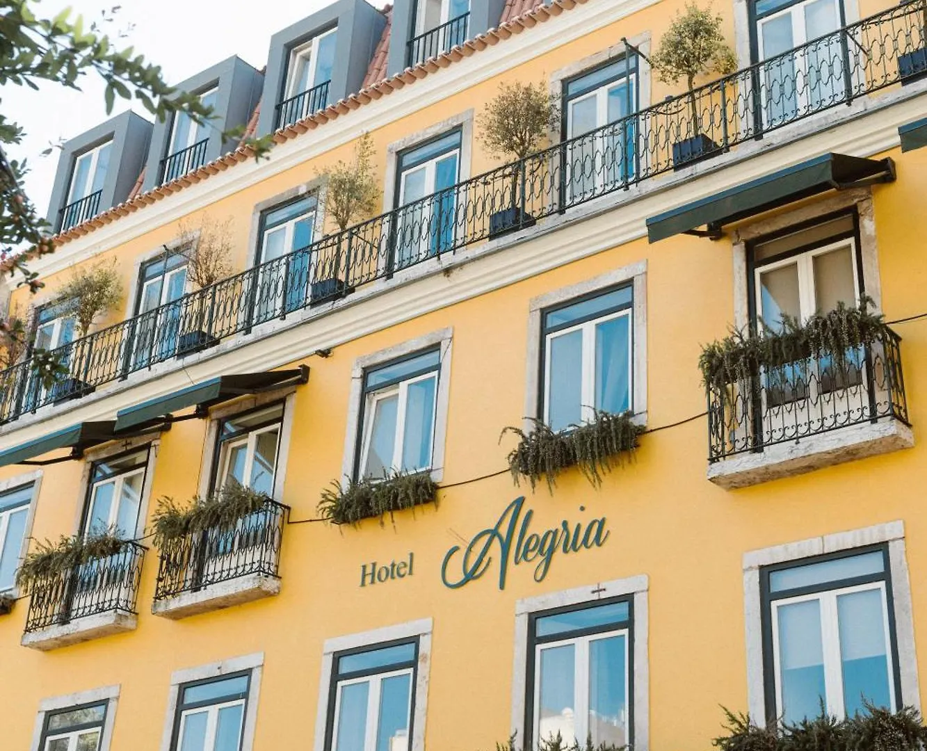 Alegria A Lisbon Boutique Hotel